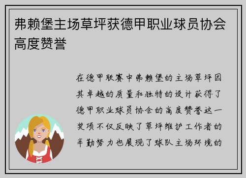 弗赖堡主场草坪获德甲职业球员协会高度赞誉